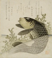 池の植物の間で鯉